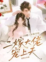 《冷婚三年你不爱，二嫁大佬宠上天》小说封面