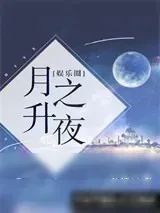 《月升之夜》小说封面