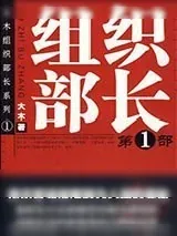 《组织部长第1部》小说封面