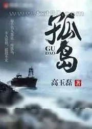 《孤岛》小说封面