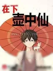 《在下壶中仙》小说封面