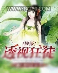 《神级透视狂徒》小说封面