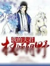 《我的夫君权倾朝野》小说封面