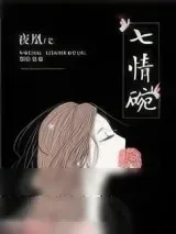 《七情碗》小说封面