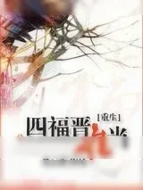 《重生之四福晋难当》小说封面