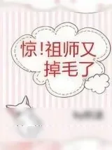 《惊！祖师又掉毛了》小说封面