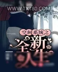 《空间系统之全新人生》小说封面