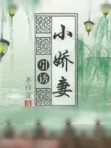 《引诱小娇妻（重生）》小说封面