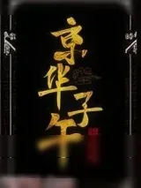 《京华子午》小说封面