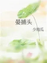 《晏捕头》小说封面