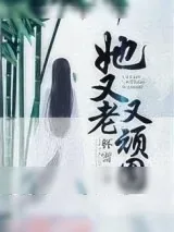 《她又老又顽固》小说封面
