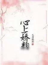 《心上娇颜》小说封面