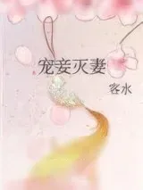 《宠妾灭妻》小说封面