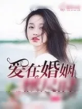 《爱在婚姻燃尽时》小说封面