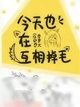 《今天也在互相掉毛》小说封面