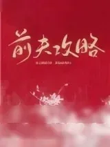 《前夫攻略》小说封面