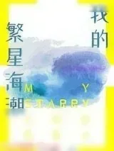 《我的繁星海潮》小说封面