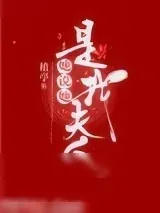 《她说她是我夫人》小说封面