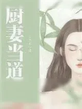 《厨妻当道》小说封面