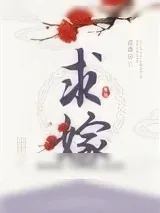 《求嫁》小说封面