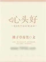 《心头好》小说封面