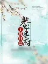 《恭王府丫鬟日常》小说封面