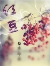 《红豆》小说封面