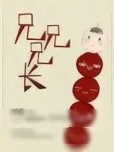《兄兄兄长》小说封面