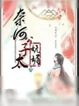 《奈何公子太妩媚》小说封面