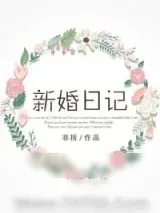 《新婚日记》小说封面