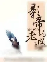 《影帝的老婆》小说封面