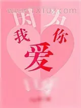 《因为我爱你呀》小说封面