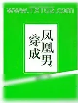 《穿成凤凰男》小说封面