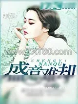 《盛意难却》小说封面