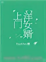 《上门洋女婿》小说封面