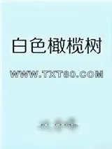 《白色橄榄树》小说封面