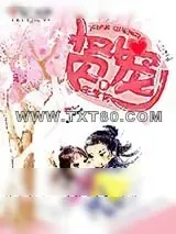 《贤宠》小说封面