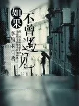 《如果不曾遇见》小说封面