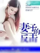 《妻子的反击》小说封面