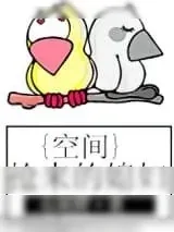 《空间之抢来的媳妇》小说封面