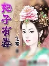 《妃子有毒》小说封面