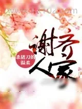 《谢齐人家》小说封面