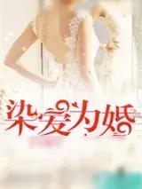 《新婚爱未眠》小说封面