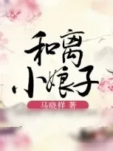 《和离小娘子》小说封面