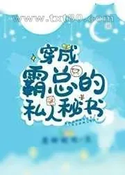 《穿成霸总的私人秘书》小说封面