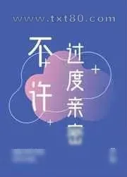 《不许过度亲密》小说封面