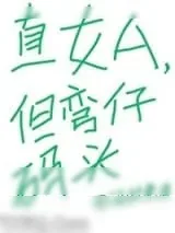 《直女A，但弯仔码头》小说封面