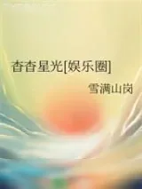 《杳杳星光[娱乐圈]》小说封面