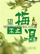 《望梅不止渴》小说封面