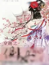 《穿越之侧妃》小说封面